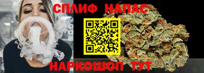гашик Гай