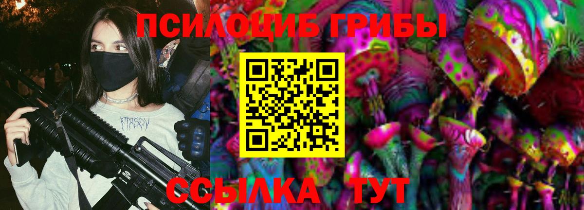 Галлюциногенные грибы Cubensis Железногорск