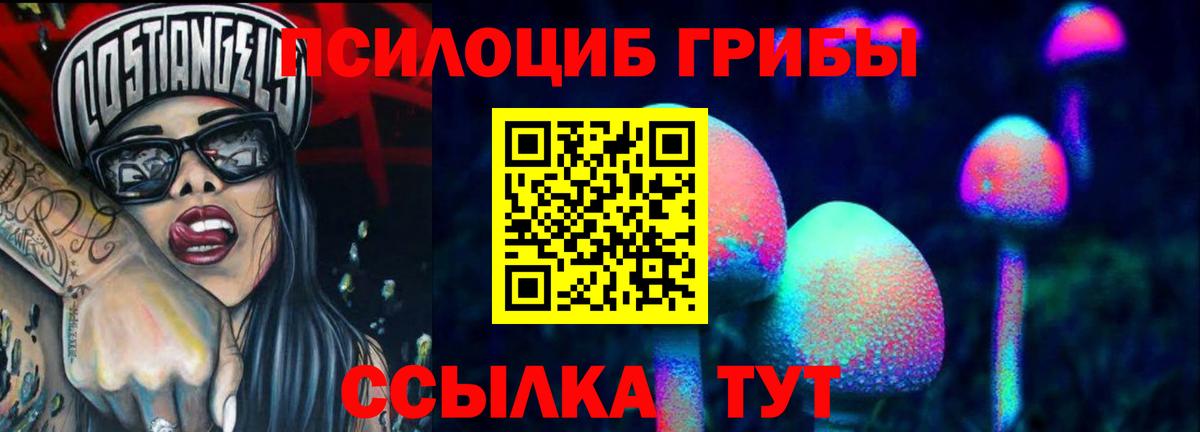 Псилоцибиновые грибы прущие грибы  Псилоцибиновые грибы Cubensis  Железногорск  Вход с VPN 